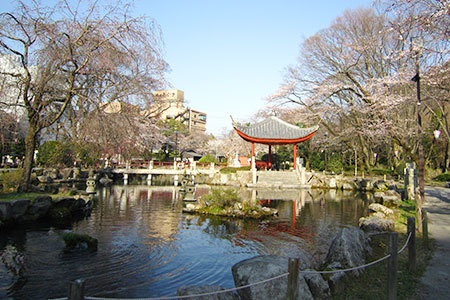 岐阜公園の桜 大切な人と行きたい デートスポット 東海