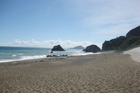 ココナッツビーチ 伊良湖海水浴場 大切な人と行きたい デートスポット 東海