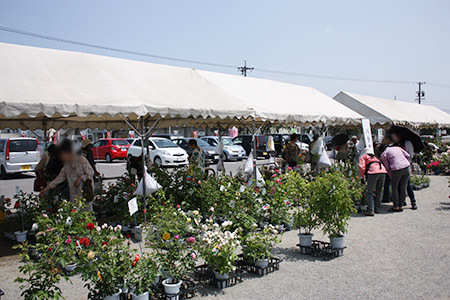 大野町バラ公園販売所