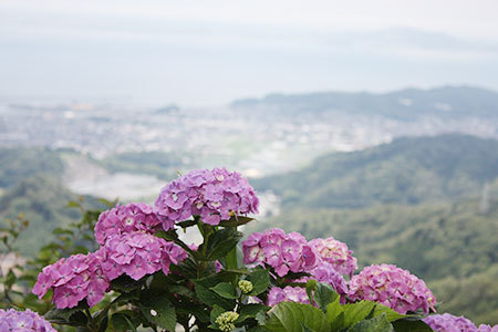 三ヶ根山スカイラインからの眺め三河湾
