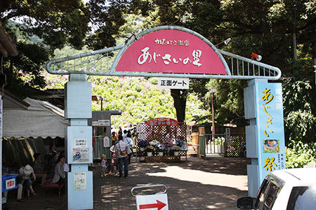 形原温泉あじさいの里入り口