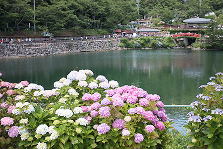形原温泉あじさいの里補陀ヶ池
