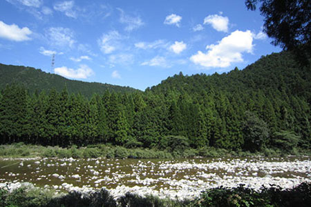 鮎の里ほらど