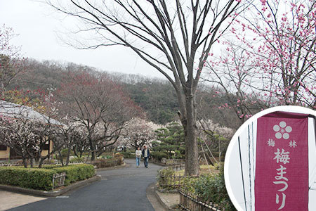 梅林公園