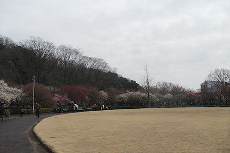 梅林公園