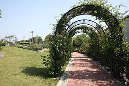 ばら公園いこいの広場