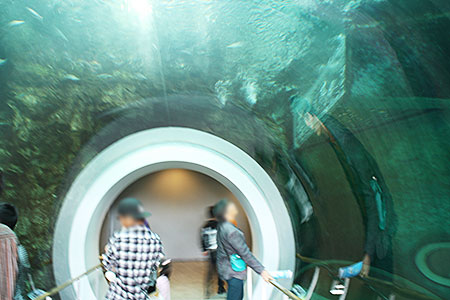 滋賀県立琵琶湖博物館
