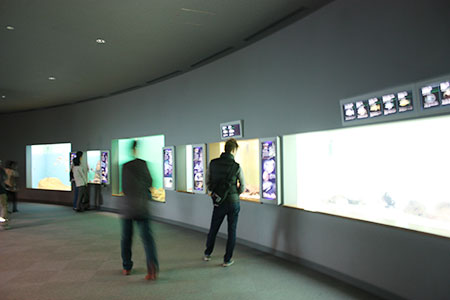 滋賀県立琵琶湖博物館