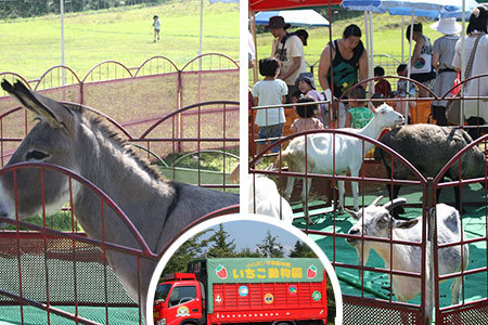 茶臼山高原ふれあい動物園