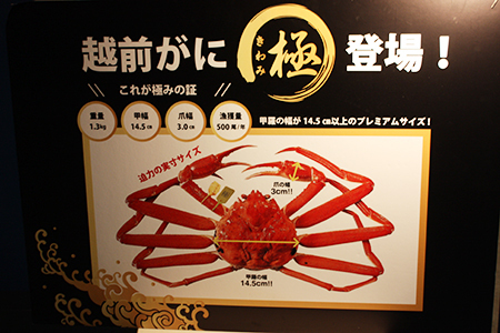 越前がにミュージアム