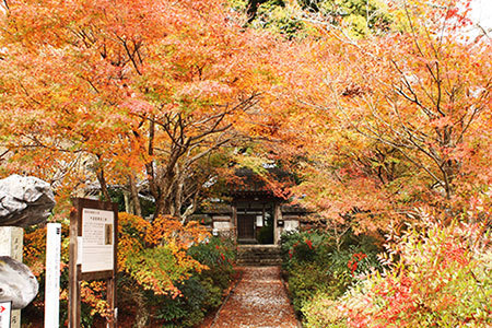円興寺の紅葉