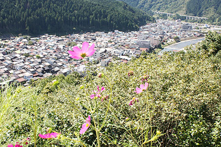 郡上八幡城