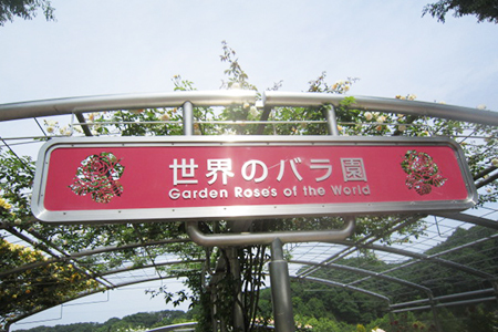 花フェスタ記念公園入り口