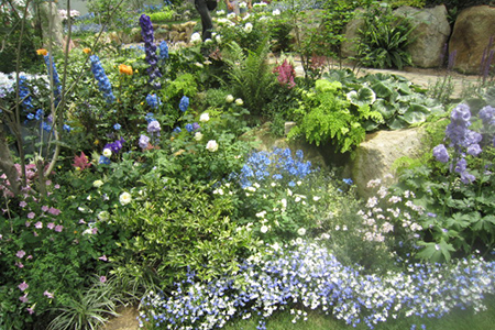 花フェスタ記念公園