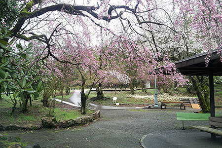 谷汲はなもも公園