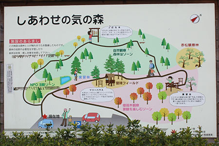 しあわせの気の森