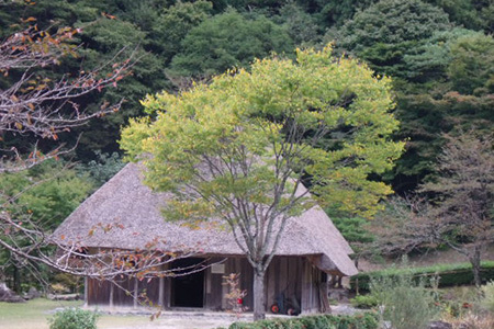 藤橋城