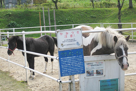 中津川ふれあい牧場