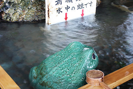 満願蛙