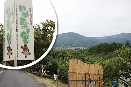 いが栗の里