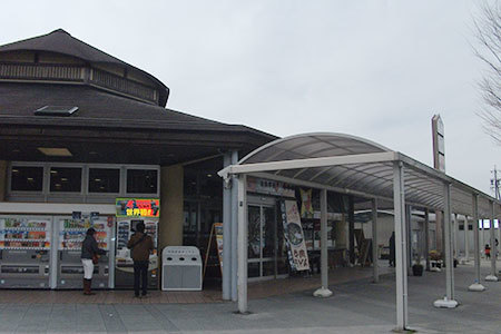 道の駅いが