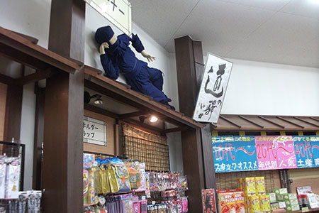 道の駅いが