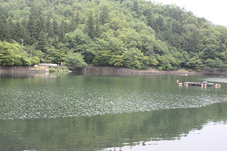 伊自良湖