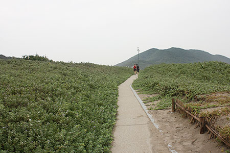 伊良湖岬灯台