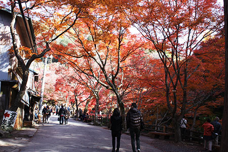 岩屋堂公園の紅葉 大切な人と行きたい デートスポット 東海