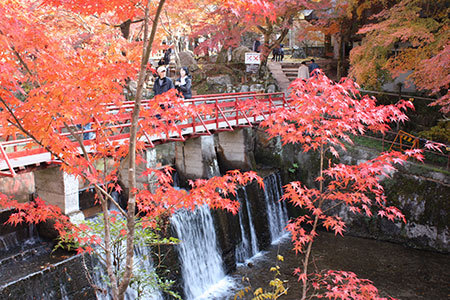岩屋堂公園