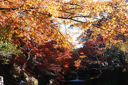 岩屋堂公園