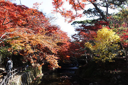 岩屋堂公園