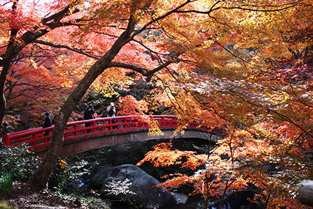 岩屋堂公園