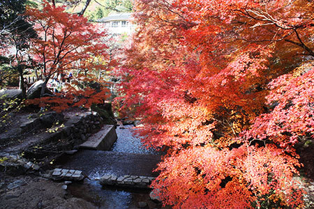 岩屋堂公園