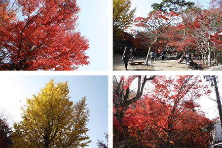 岩屋堂公園