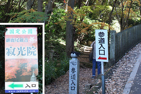尾張のもみじ寺寂光院