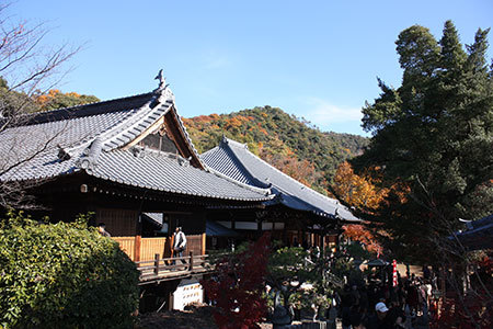 尾張のもみじ寺寂光院本堂