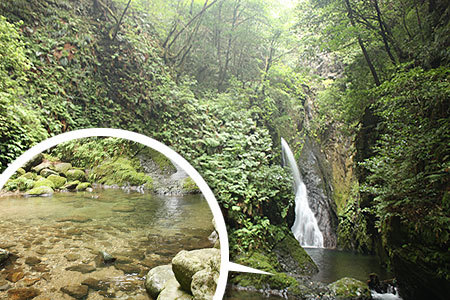 釜ヶ滝一の滝