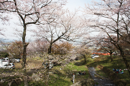 霞間ヶ渓の桜