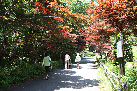 みのかも健康の森