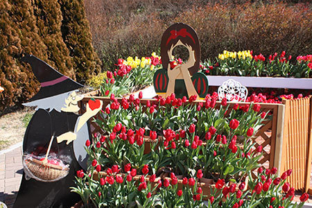 木曽三川公園のウィンターチューリップ祭