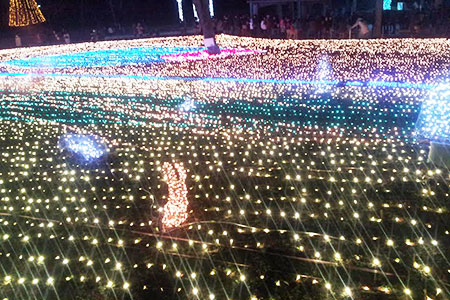 木曽三川公園センターのイルミネーション