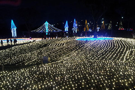 木曽三川公園センターのイルミネーション