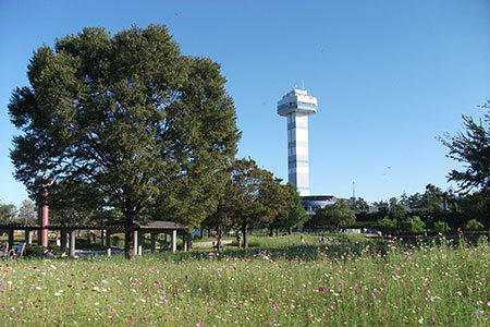 木曽三川公園展望台