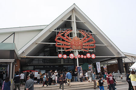 新湊きっときと市場