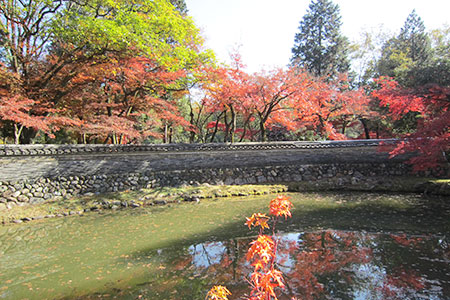 虎渓山永保寺の紅葉