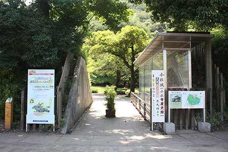 小牧山