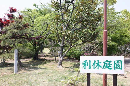 市民の森羽島公園
