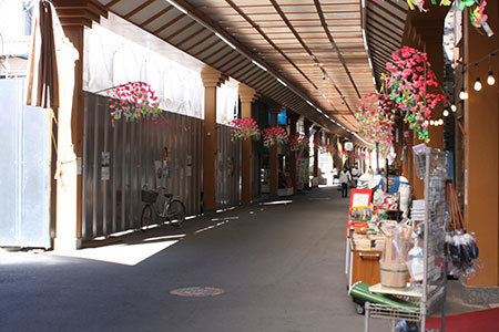 桑名商店街河津桜