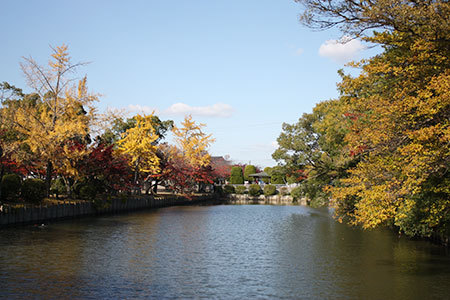 九華公園